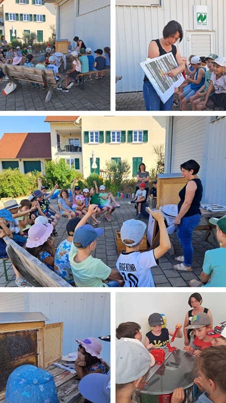 Besuch bei Familie Berner und ihren Bienen