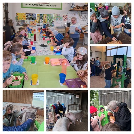 Es war wieder soweit: Herbstzeit - Apfelerntezeit