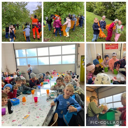 Es war wieder soweit: Herbstzeit - Apfelerntezeit