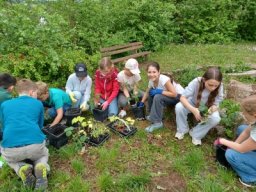 Schulleben in Bildern &raquo; Hochbeet